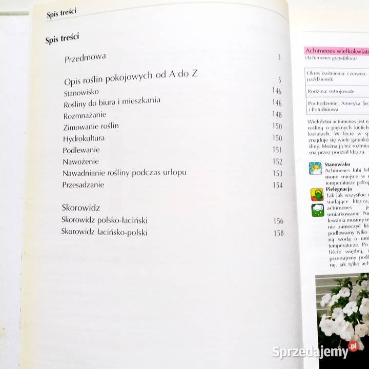 Gabriele Vocke Rośliny pokojowe A do Z 250 twarda Łódź