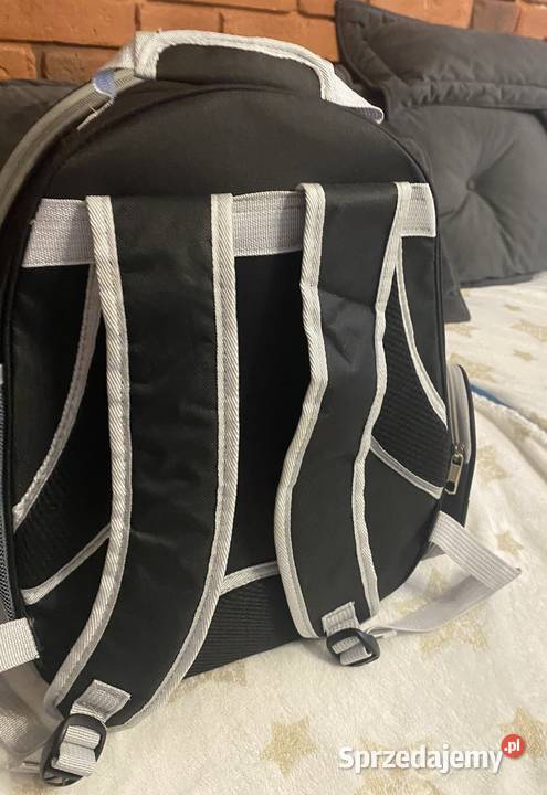 Na sprzedaż marmozeta białoucha samiec Zwierzęta