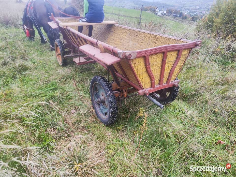 Sprzedam wóz konny wasąg sprzedam