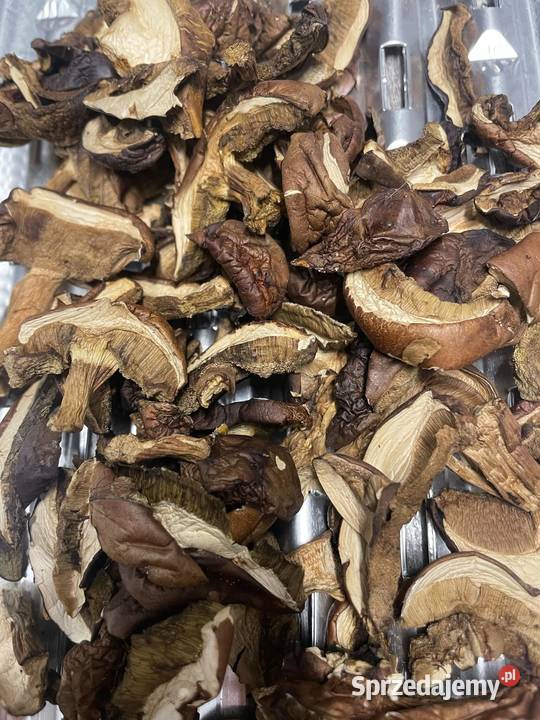 Suszone borowiki i podgrzybki wielkopolskie Wieleń