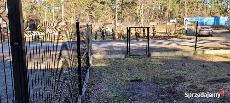 Wynajmę miejsce pod foodtruck łódzkie Grotniki