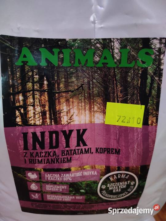 Karma szczeniaka Włocławek