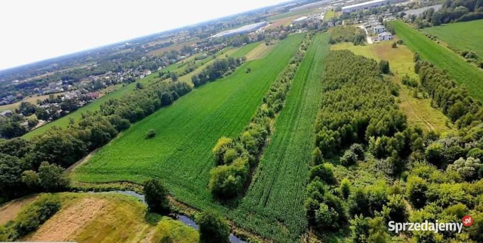 DZIAŁKI INWESTYCYJNE NIERUCHOMOŚĆ Z POTENCJAŁEM Sprzedaż Grodzisk Mazowiecki