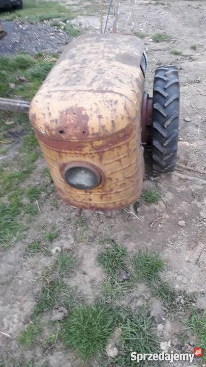 Dzik z przyczepką Głubczyce