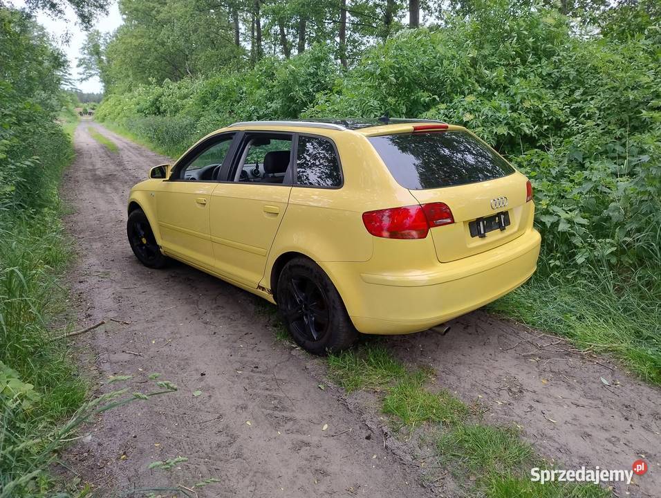 Audi a3 8p 5d 1600cm3 wielkopolskie Rychwał sprzedam