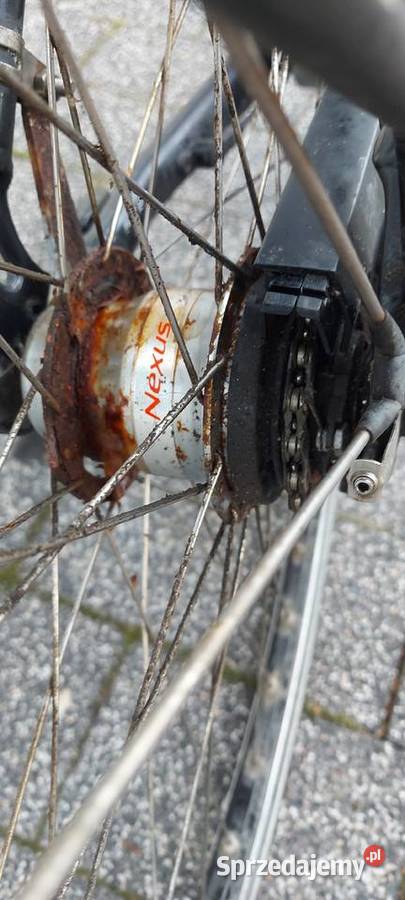 Rower elektryczny Batavus Milano e go