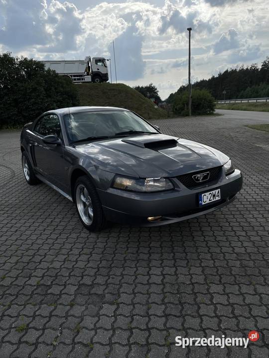 Ford Mustang GT 46 v8 Super stan wielofunkcyjna kierownica Skępe sprzedam