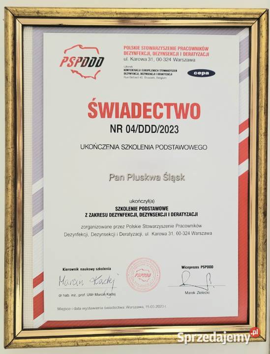 Pluskwa domowa zwalczanie pluskiew odpluskwianie śląskie Katowice