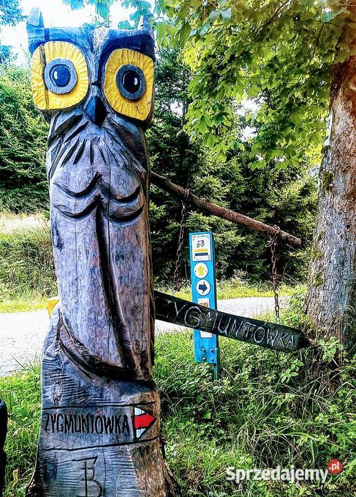 Wynajmę Domek 3 do Gór Sowich Pieszyce