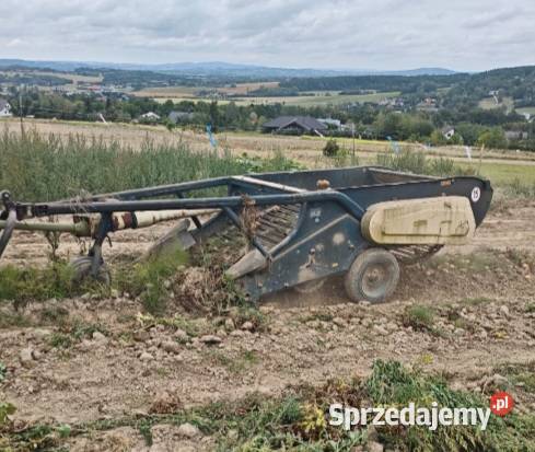 Sprzedam kopaczkę małopolskie