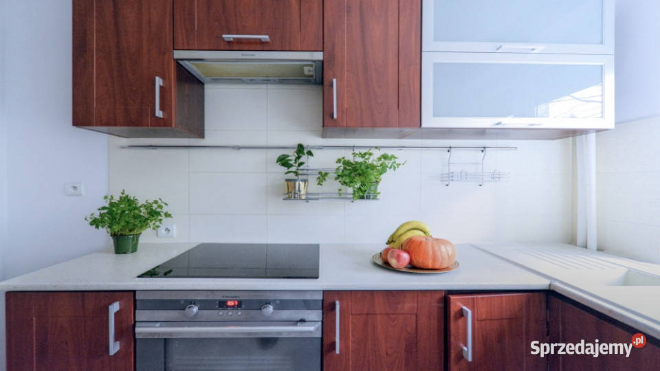 Mieszkanie 2 pokojowe z osobną widną kuchnią 5 sprzedam