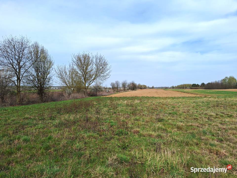 Działka budowlana 2900m2 DOBRZYŃ Adamówek