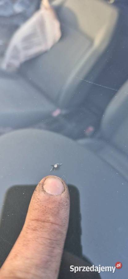 Szyba przód przednia Audi A3 8P Słupsk