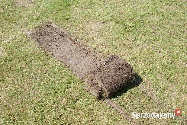 Wycinarka podcinarka darni Wrocław