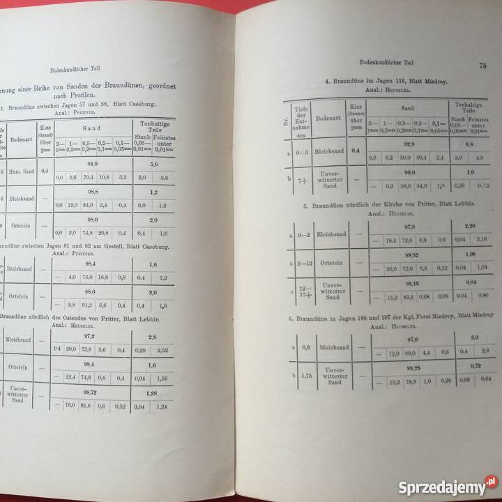 877 Geologischen Karte Szczecin