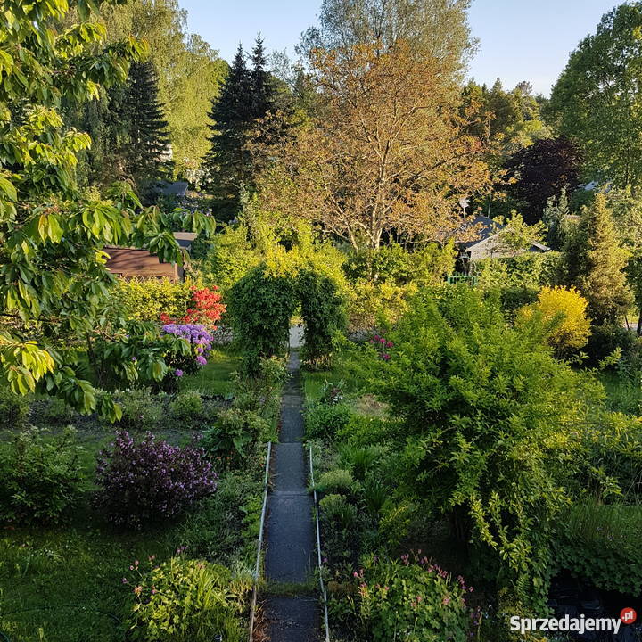 Ogródek działkowy rod słoneczne wzgórze matarnia Gdańsk sprzedam