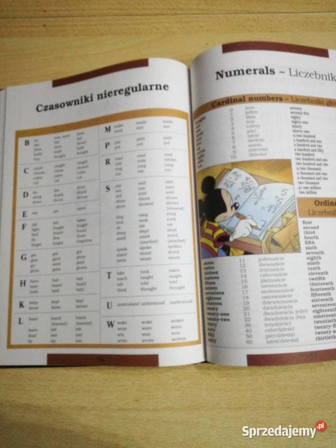 Angielski z Waltem Disneyem lubelskie Lublin