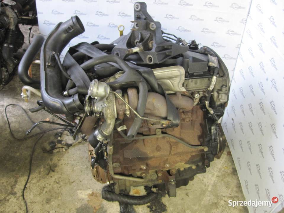 TRANSIT JUMPER BOXER 10r 22 TDCI 85 P8FA 177 sprzedam