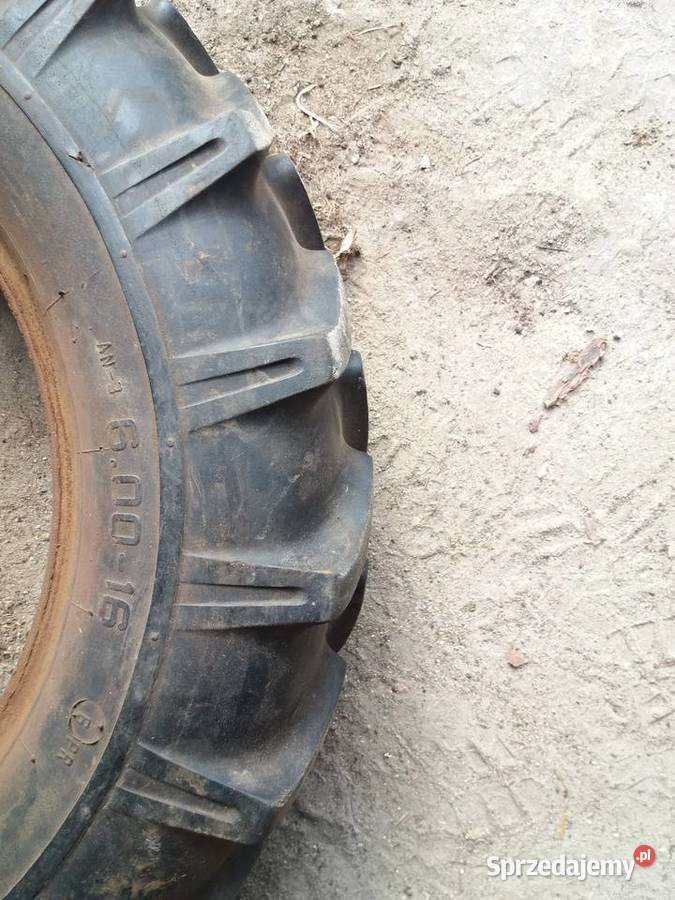 Opony kos Ursus 16 Węgrów