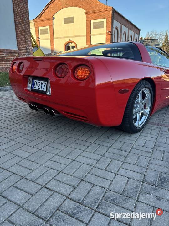 Corvette Wałbrzych