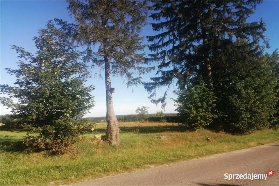 Działka z WZ Dębnica KaszubskaPodole Małe Podole Małe