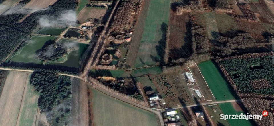 Grunt 2430m2 Rojków