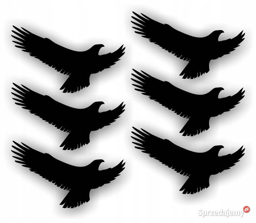 Naklejki odstraszające ptaki na szybę okno 30x17 Kobierno