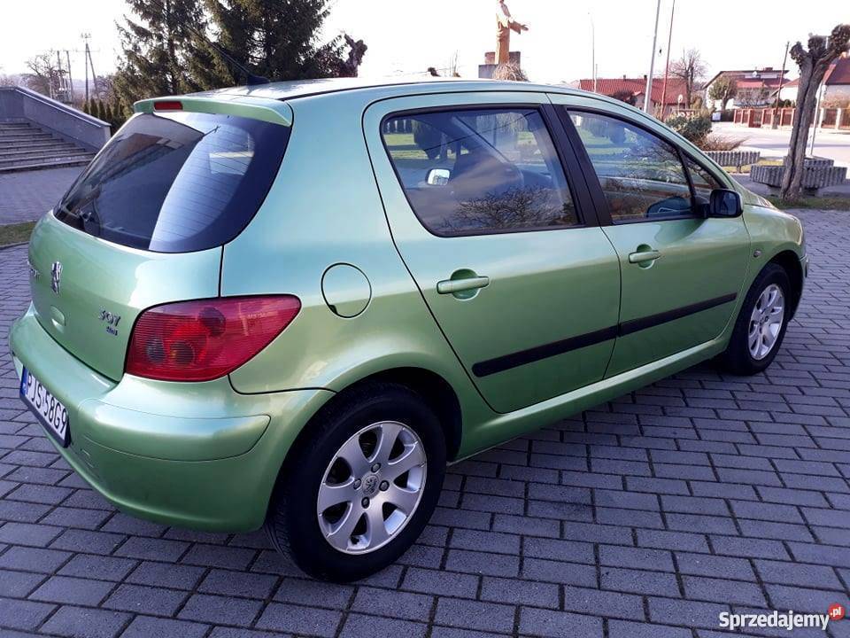Peugeot 307 20 HDI 2001 4/5 Jasło