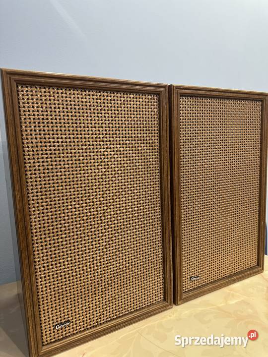 Kolumny głośnikowe Carnegle 60 Łapy