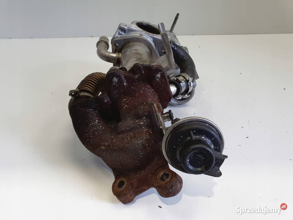 Renault Megane III 15 DCI CHŁODNICA SPALIN egr Chełm