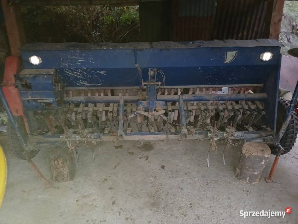 Siewnik poznaniak Sanok