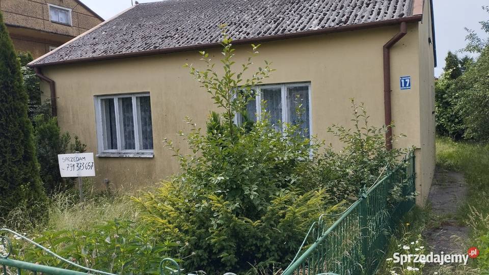 Dom z działką w centrum miejscowości Wielgie 25 ogródek sprzedam