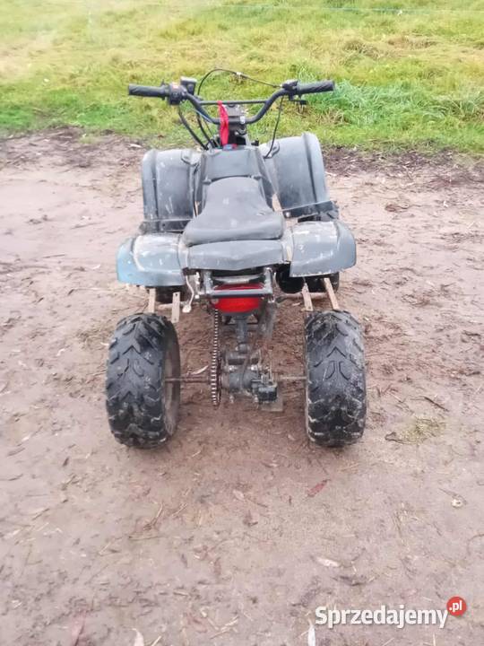 Ouad mazowieckie Klimy