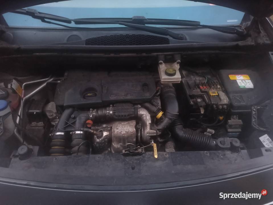 Citroen Berlingo podkarpackie Kolbuszowa