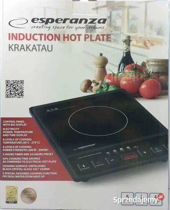 Płyta indukcyjna przenośna kuchenka elektryczna łódzkie Łódź