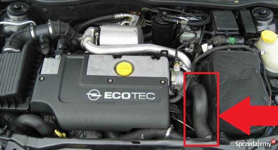 RZEWÓD OPEL 24405584 24442497 58600760 5860740 Bielsko-Biała