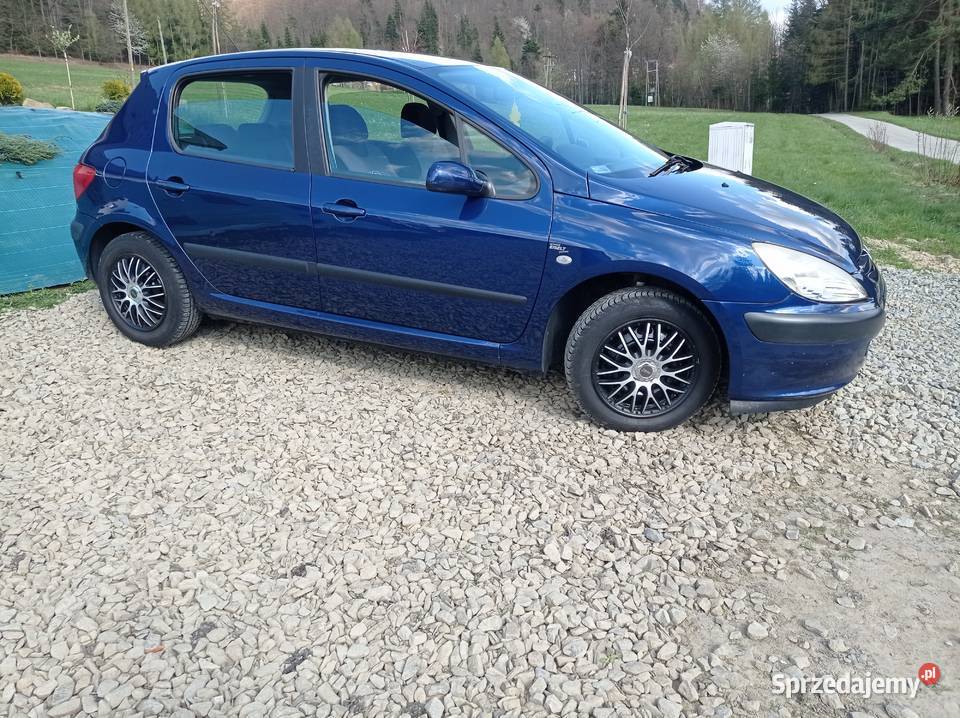 Peugeot 307 16 benzyna 169 Przebiegu nieuszkodzony 307
