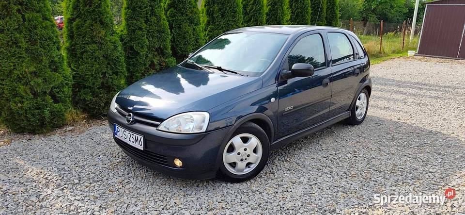 Opel Corsa Elegance 12 Benzyna Sprawna i podkarpackie Jasło