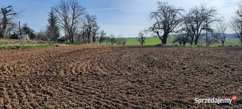 Sprzedam dom z sadem Krzelków