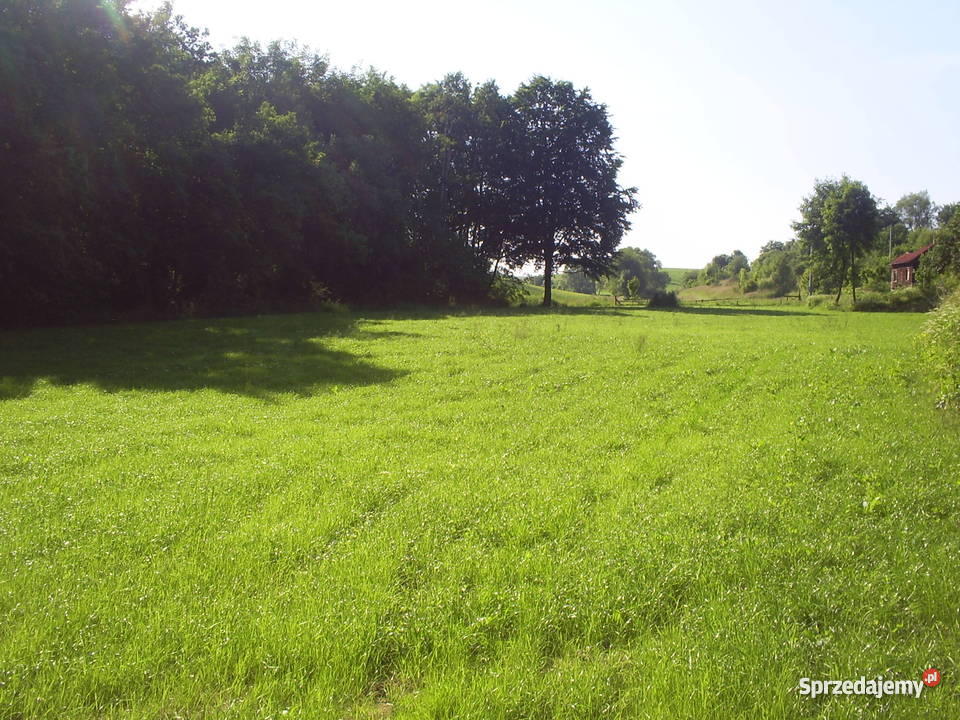 działka pod lasem utwardzona Szreniawa