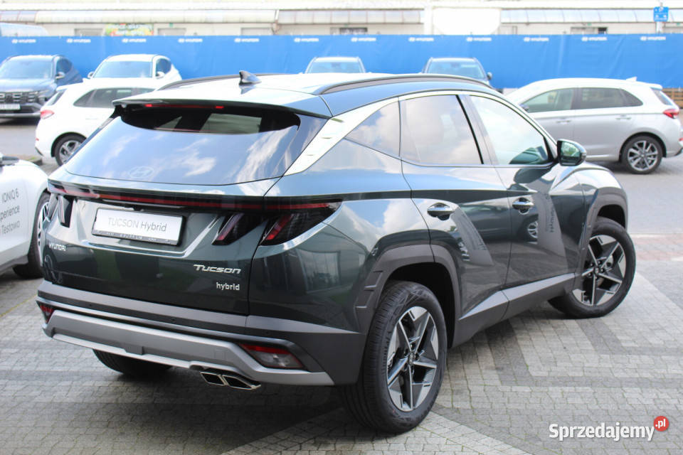 Nowej Generacji Executive Comfort 16TGDI HEV 6AT Tucson Kalisz