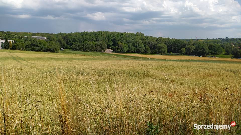 Działka 38ar 30m śląskie Racibórz