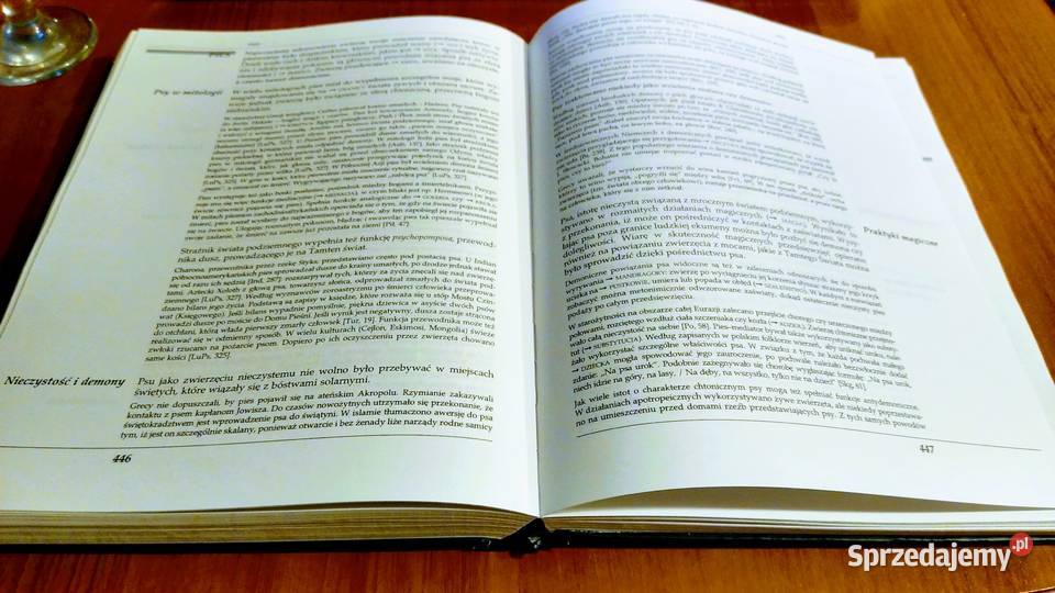 Leksykon znaki świata omen przesąd znaczenie Rok wydania 1998 sprzedam