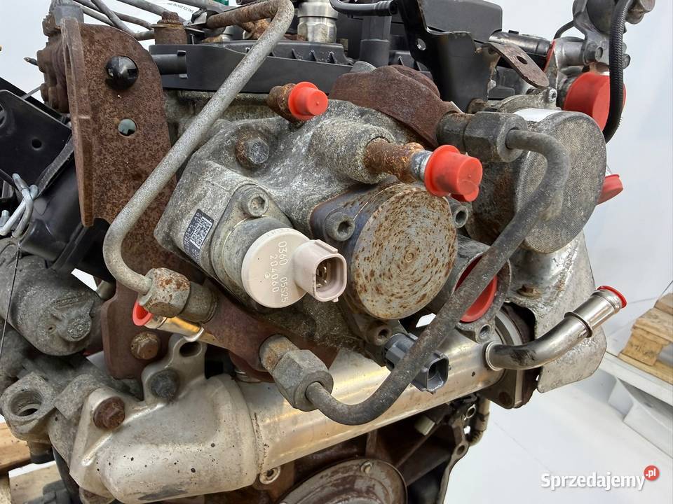 SILNIK QVFA Ford Transit VII MK7 22 TDCI 110 osobowe lubelskie Chełm