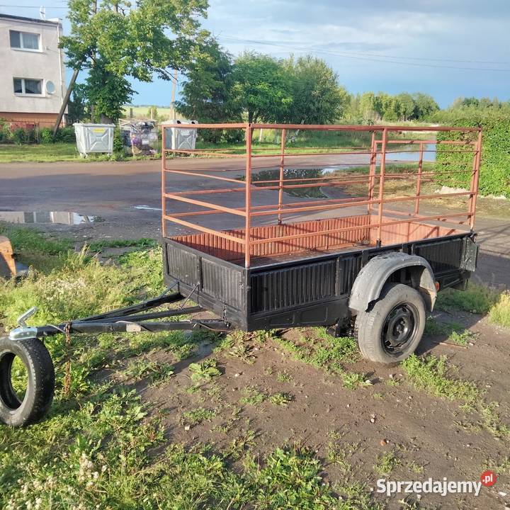 Przyczepa lekka ładowność maksymalna 500 1 Malbork