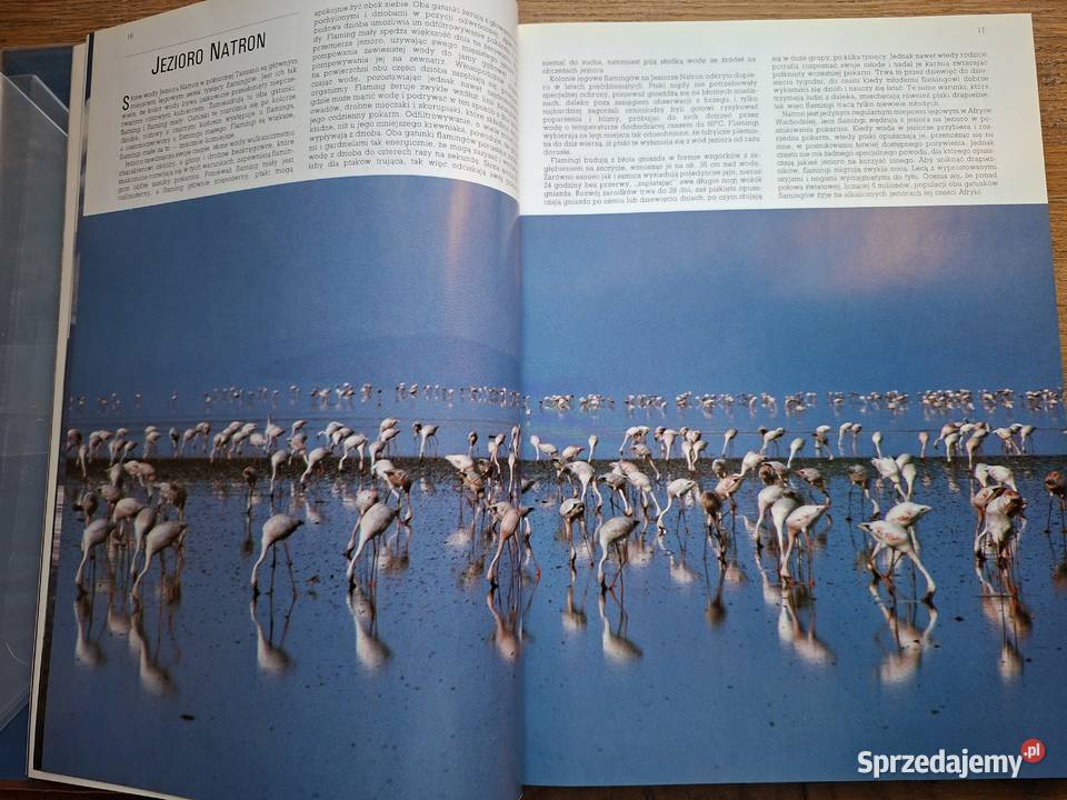 Cuda Natury Joyce Robins Pascal Kraków