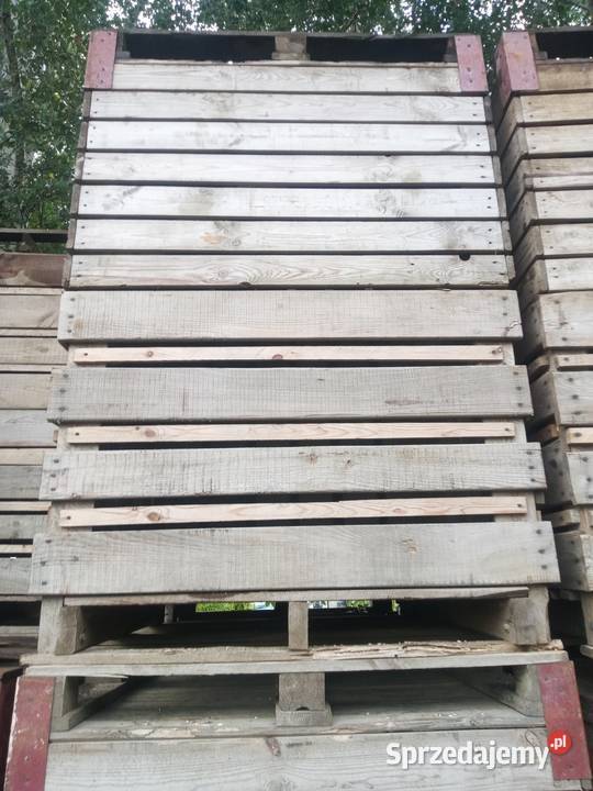 Skrzynio palety Kozienice