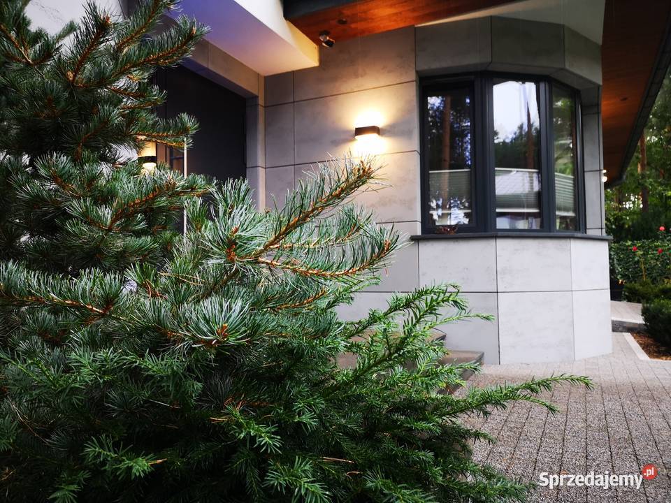 Elewacje z betonu architektonicznego elewacyjne zewnętrzne