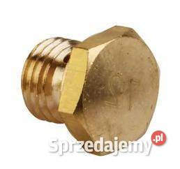 Dysza główna 798661 Kamionna