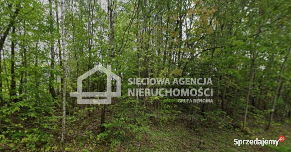 sprzedaży gruntu 13504m2 Kobylasz 1m